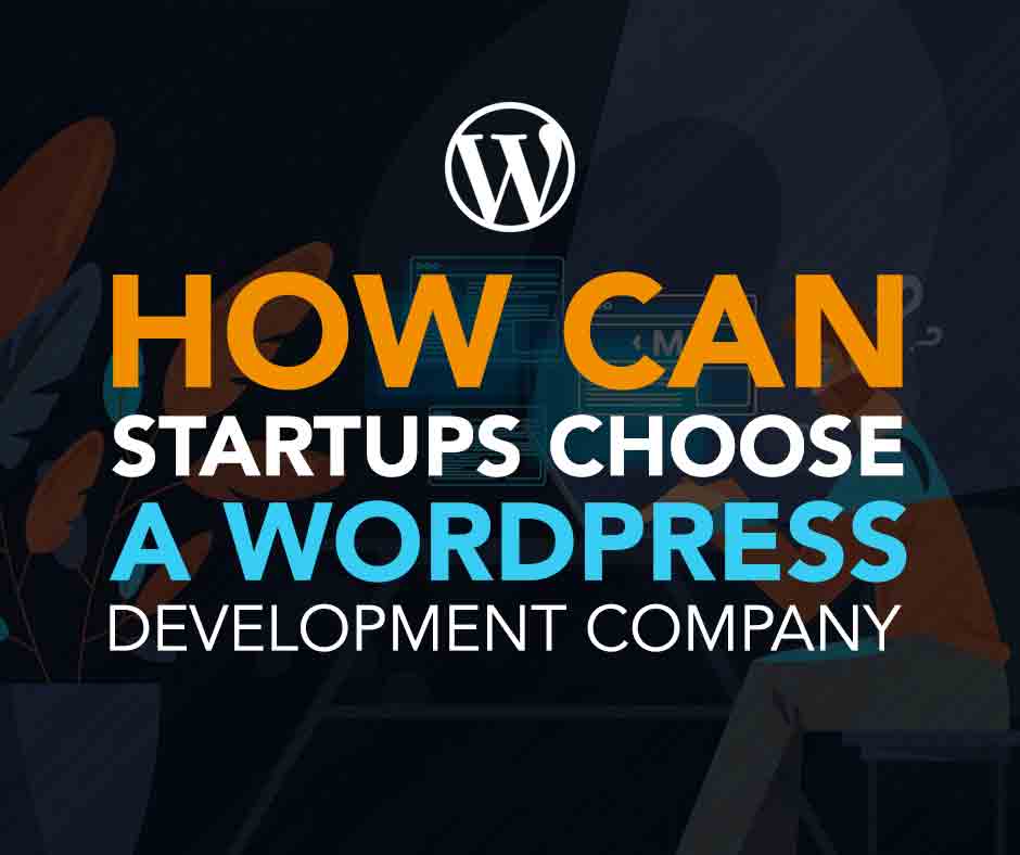 The ways in which startups choose a wordpress development company