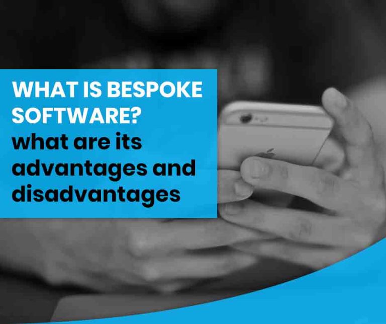 What is Bespoke Software? What are its advantages and disadvantages