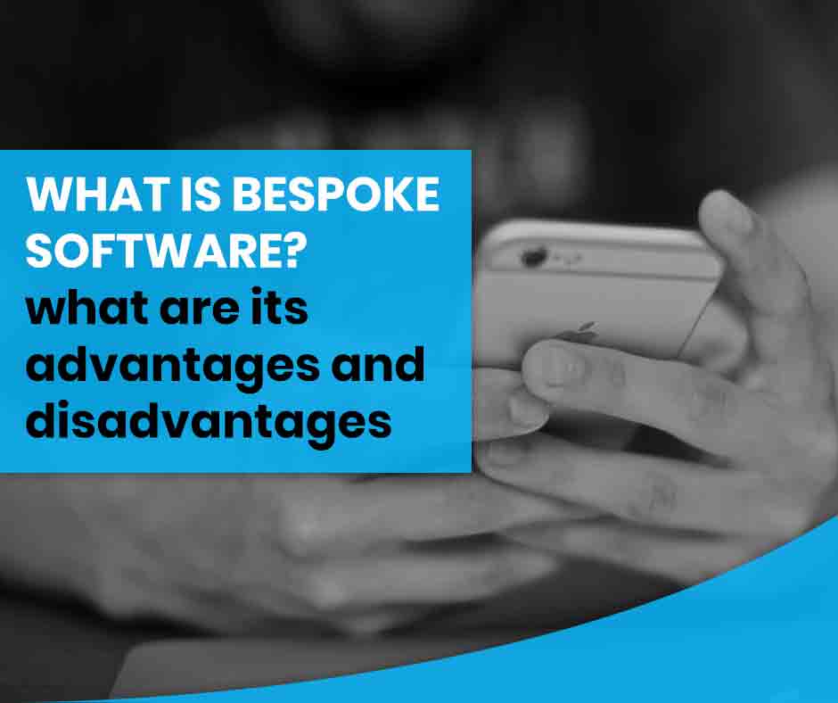 Bespoke software advantages and disadvantages