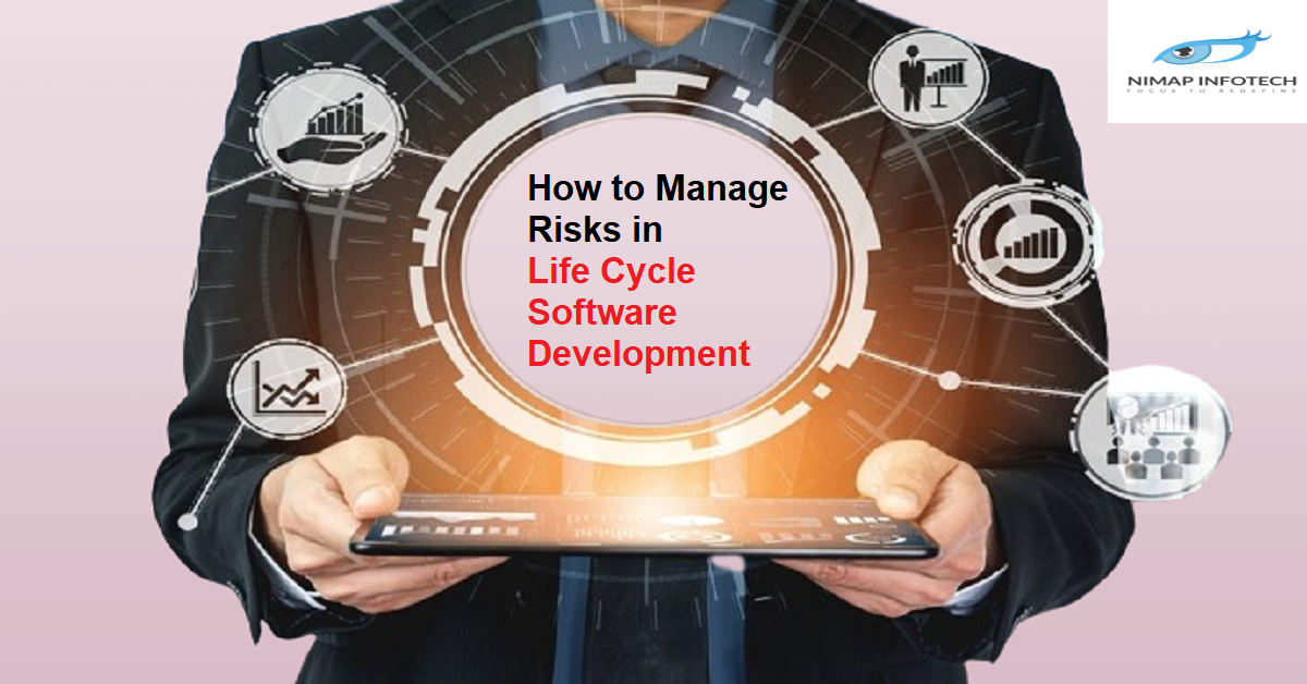 How to Manage Risks in Life Cycle Software Development